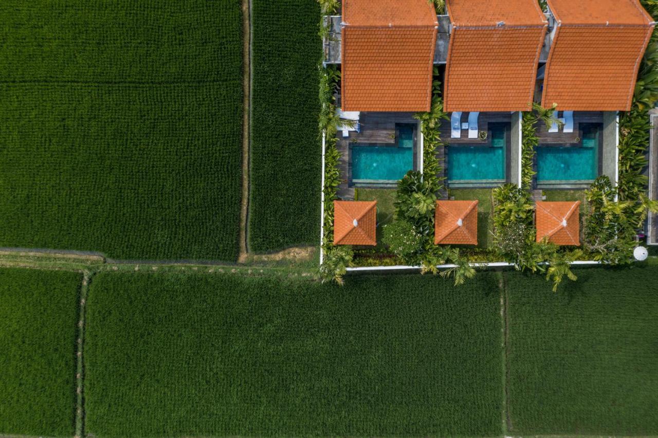Sawah Villas Ubud  Ngoại thất bức ảnh